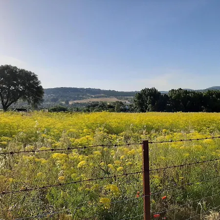 Huerta La Laja,casa Grande Landhaus