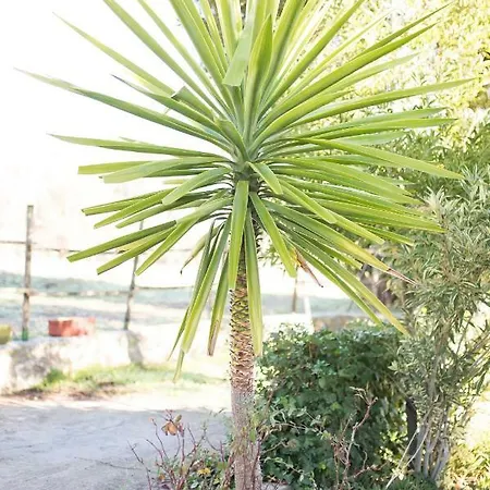 Huerta La Laja,casa Grande Landhaus *
