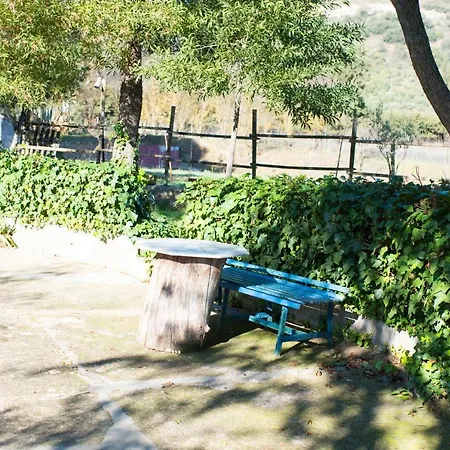 Huerta La Laja,casa Grande منزل ريفي
