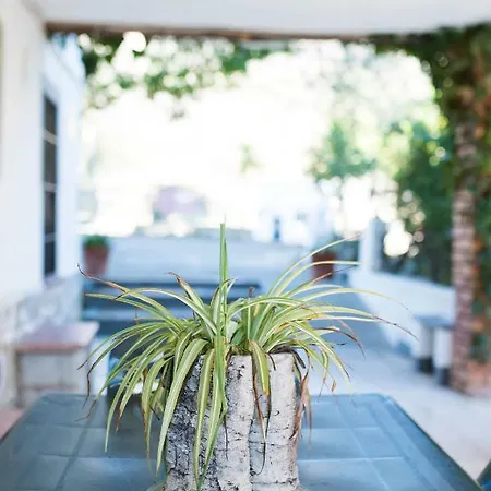 Casa rural Huerta La Laja,casa Grande *