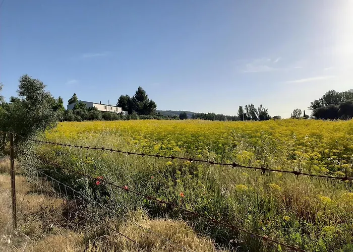 Landsted Huerta La Laja,casa Grande