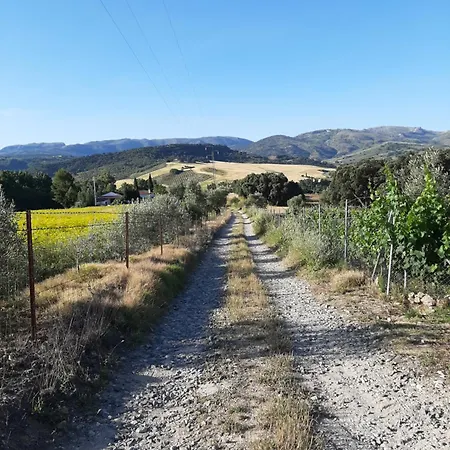 Huerta La Laja,casa Grande *