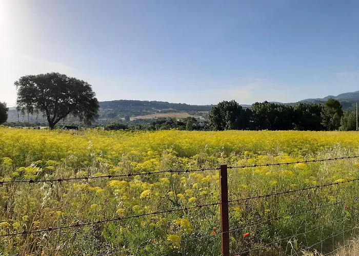 Huerta La Laja,casa Grande Casa di campagna