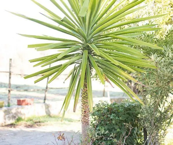 Huerta La Laja,casa Grande Casa di campagna *