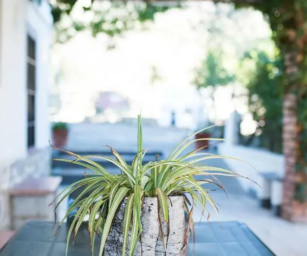 Casa di campagna Huerta La Laja,casa Grande *